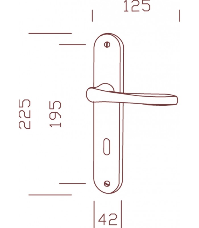 Ensemble de poignées de porte TETRA sur plaques finition inox mat avec trou  de serrure - 195mm 