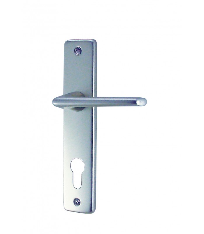 Poignée de fenêtre type L oscillo-battant à clé aluminium argent -  1001poignées - Votre spécialiste de la poignée de porte